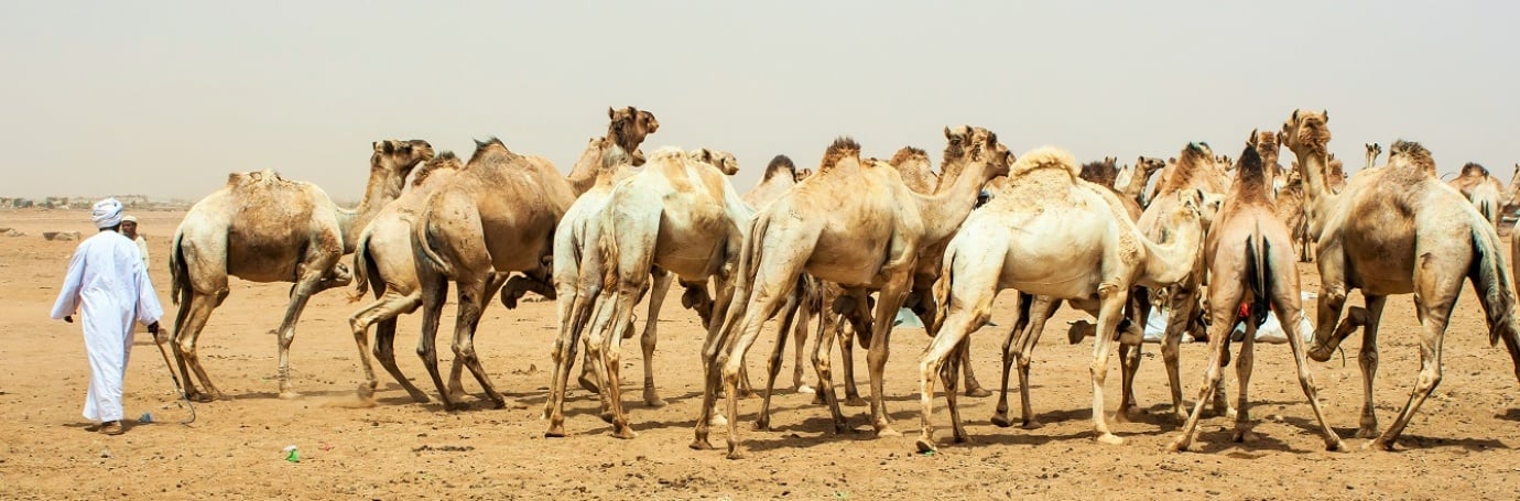 Sudan