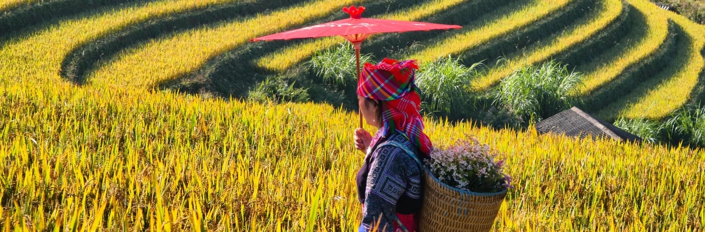 Vietnam