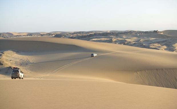 Wegry - Faces of the Namib