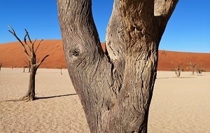 Namibia Guided Group Tour