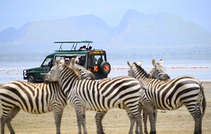 Kenya Safari with Martelize Brink