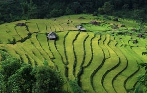 Authentic Vietnam