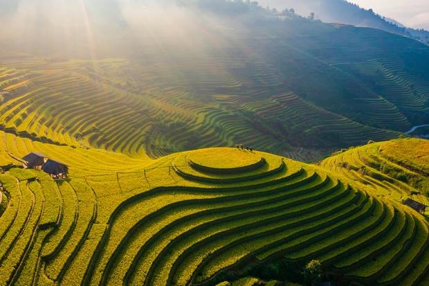 Vietnam3